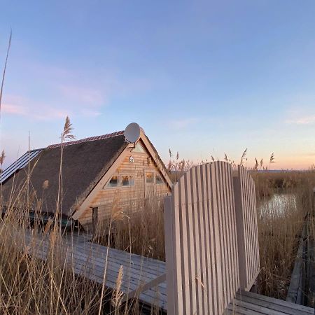 Seehuette Neusiedlersee - Pfahlbau Waterfront 1 拉斯特 外观 照片